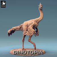 Lop-240644 Oviraptor Walk