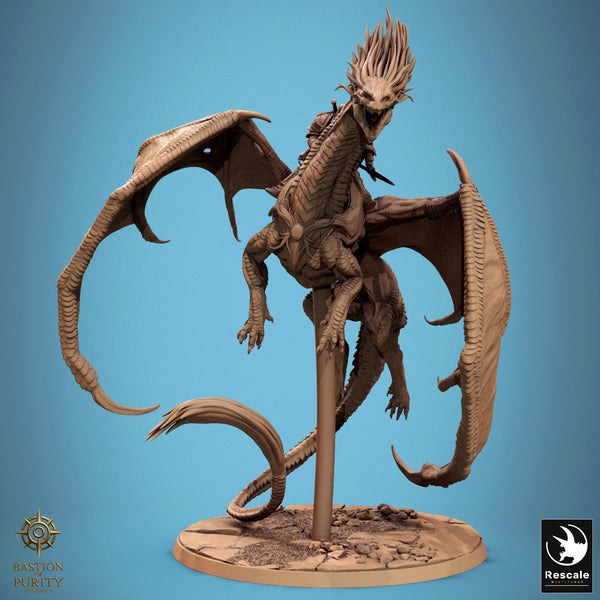 Lop-250812 Dragon Watcher Fly