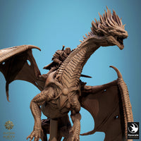 Lop-250812 Dragon Watcher Fly