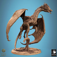 Lop-250812 Dragon Watcher Fly