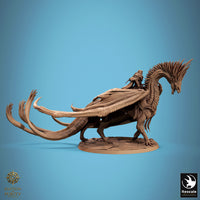 Lop-250813 Dragon Watcher Walk