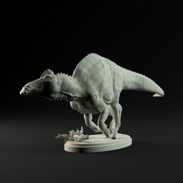 DinD-230801 Edmontosaurus running