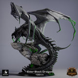 Lop-260101 Black Dragon Elder