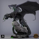Lop-260101 Black Dragon Elder