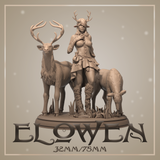 Dnm-241201 Elowen