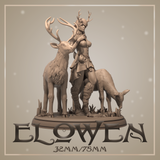 Dnm-241201 Elowen