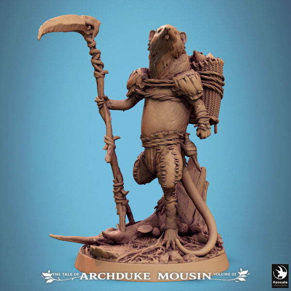 Lop-ks0105 Etruscan Shrew Look