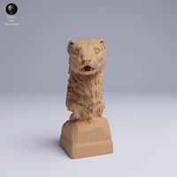 Anml-250503 european polecat bust (ヨーロッパケナガイタチ）