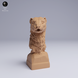 Anml-250503 european polecat bust (ヨーロッパケナガイタチ）