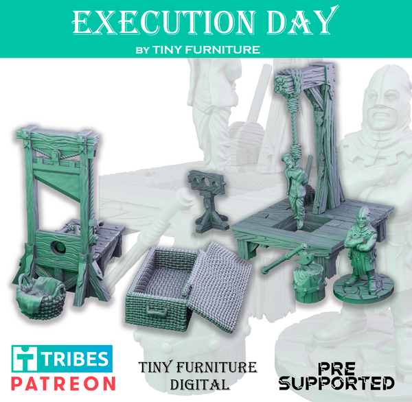 Tnyf-221202 Execution Day