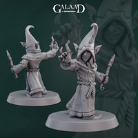 Gaa-241205 Female Goblin Wizard