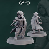 Gaa-241201 Female Goblin Assassin