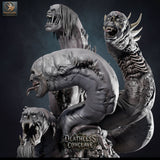 Lop-261005 False Hydra 75
