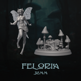 DnM-240802 Feloria