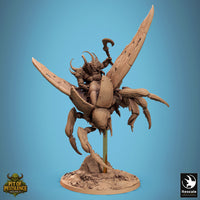 Lop-250732 Scarab Host Fly Attack