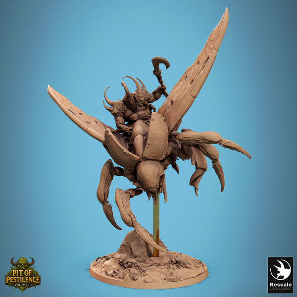 Lop-250732 Scarab Host Fly Attack