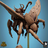 Lop-250732 Scarab Host Fly Attack