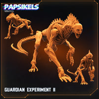 pap-2207s02 GUARDIAN EXPERIMENT II