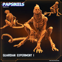 pap-2207s01 GUARDIAN EXPERIMENT I