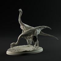 DinD-230803 Gallimimus pair