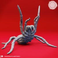 YKS-gspdr Giant Spider