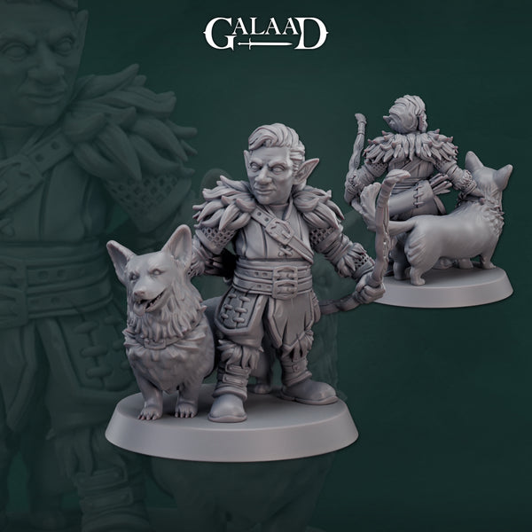 Gaa-241005 Gnome Ranger Corgi