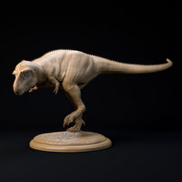 DinD-241103 Gorgosaurus 32mm ゴルゴサウルス