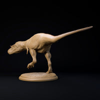 DinD-241103 Gorgosaurus 32mm ゴルゴサウルス