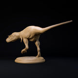 DinD-241103 Gorgosaurus 32mm ゴルゴサウルス