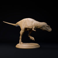 DinD-241103 Gorgosaurus 32mm ゴルゴサウルス