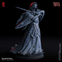 Fog-ks0320 Enemy - Shrouded Slayer