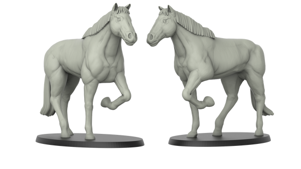 3ip-ani0234 HORSE