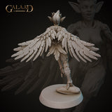 Gaa-230708 Harpy02