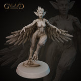 Gaa-230708 Harpy02