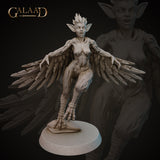 Gaa-230708 Harpy02