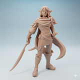 Twin-260803 Hassan'dil the Elf Ranger