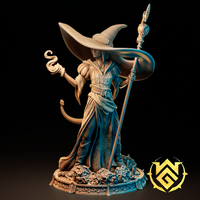 Wgm-241203 Brim Half Elf Wizard Arcane Initiate