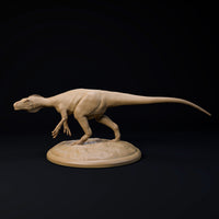 DinD-2412112 Herrerasaurus 32mm