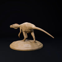 DinD-2412112 Herrerasaurus 32mm