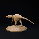 DinD-2412112 Herrerasaurus 32mm