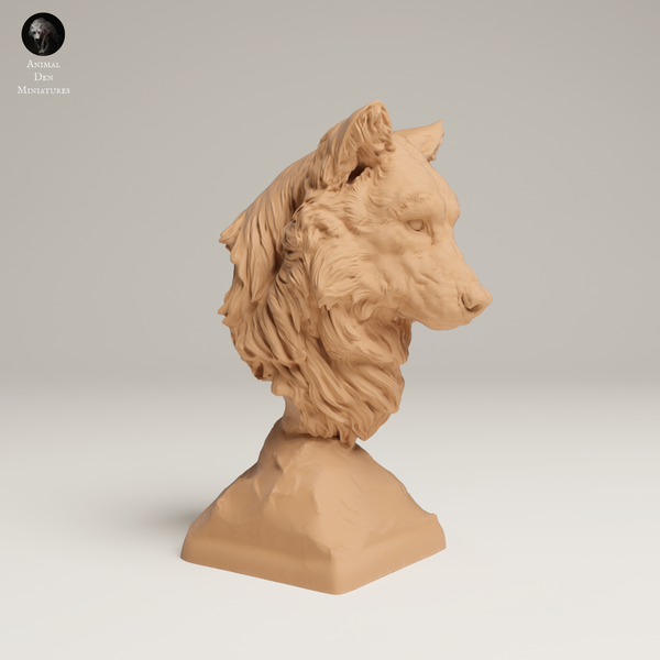 Anml-250603 Grey wolf bust