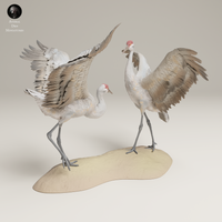 Anml-250602 Greater sandhill cranes dance (カナダヅル)