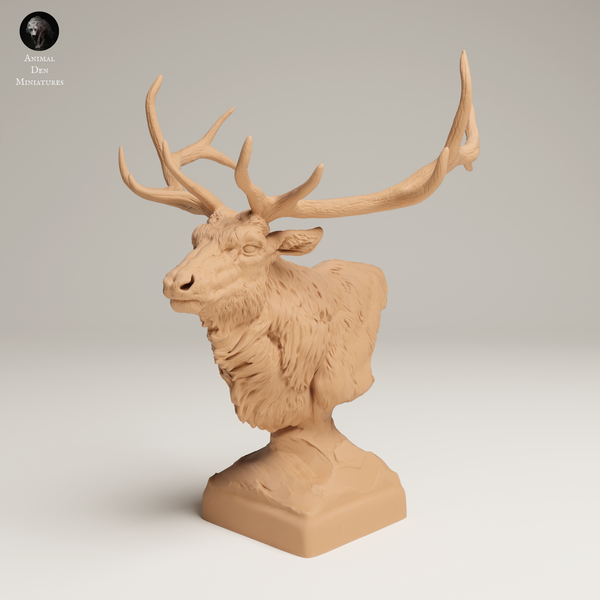 Anml-250611 Rocky mountain elk bust