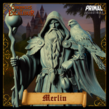 pc-251105 Wizard Merlin