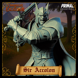 pc-251109 Evil Knight Sir Accolon