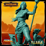 pc-250109 Half Elf Yllaaga