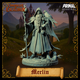 pc-251105 Wizard Merlin
