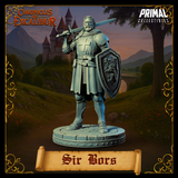 pc-251201 Knight Sir Bors
