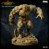 pc-240710 Golem Brog