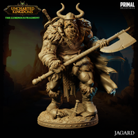 pc-240403 Barbarian king Jagard